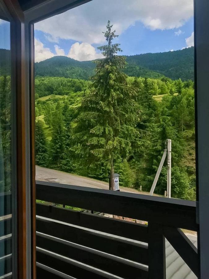 Chalet Carpat Dream Synevyr Eksteriør billede